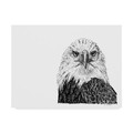 Trademark Fine Art Let Your Art Soar 'Bald Eagle Line Art' Canvas Art, 14x19 ALI42497-C1419GG